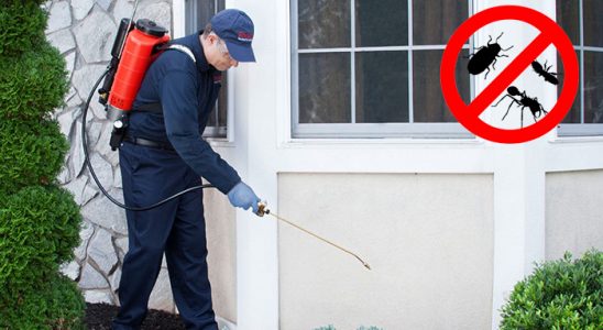 Hocalar Hamam Böceği İlaçlama böcek ilaçlama ve haşere kontrolü — ilaclama-tr.com